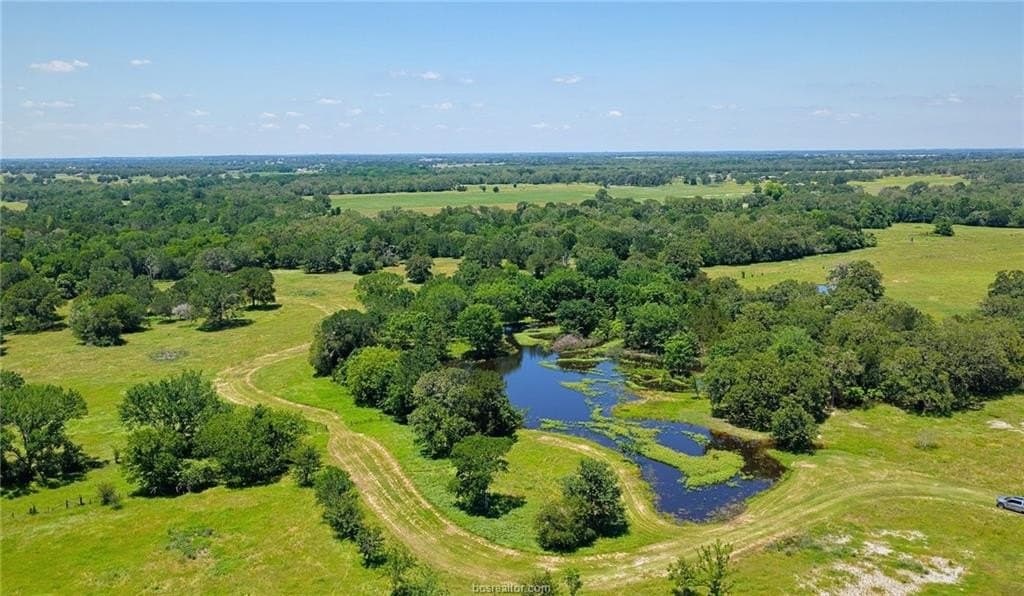 81.02 acres in Burleson County - photo 11
