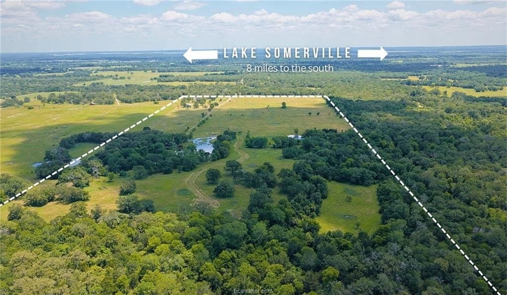 81.02 acres in Burleson County - photo 10