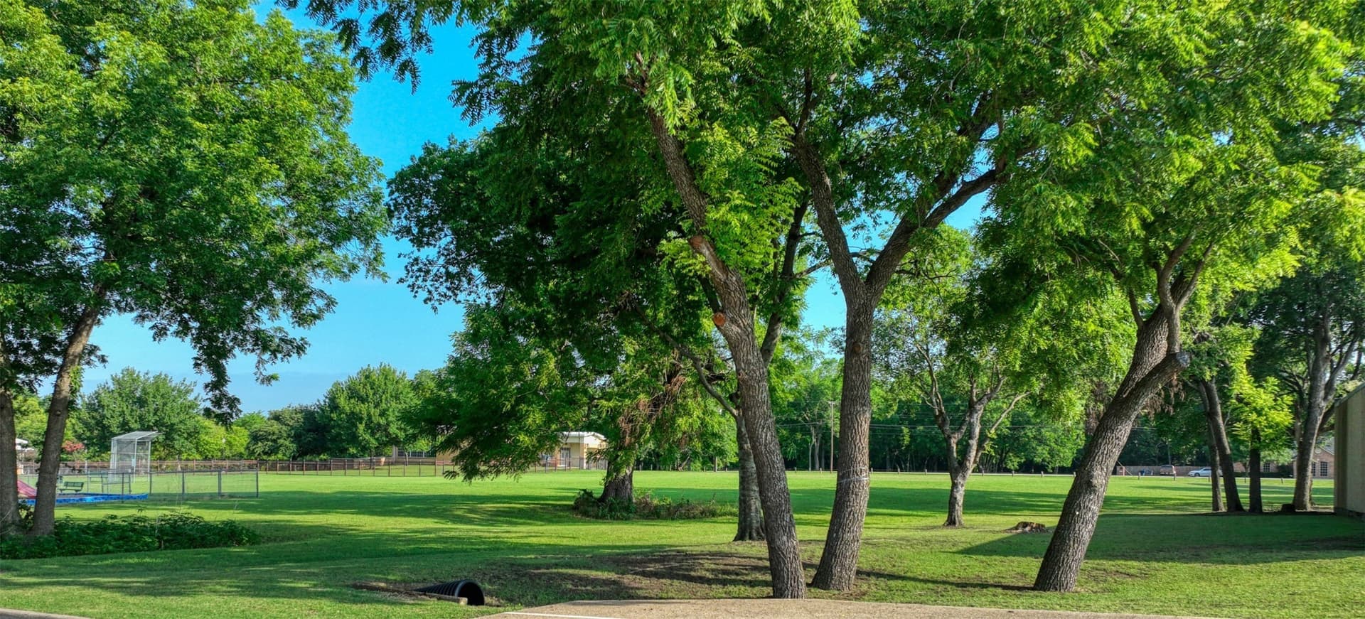 0.29 acres in Dallas County - photo 10