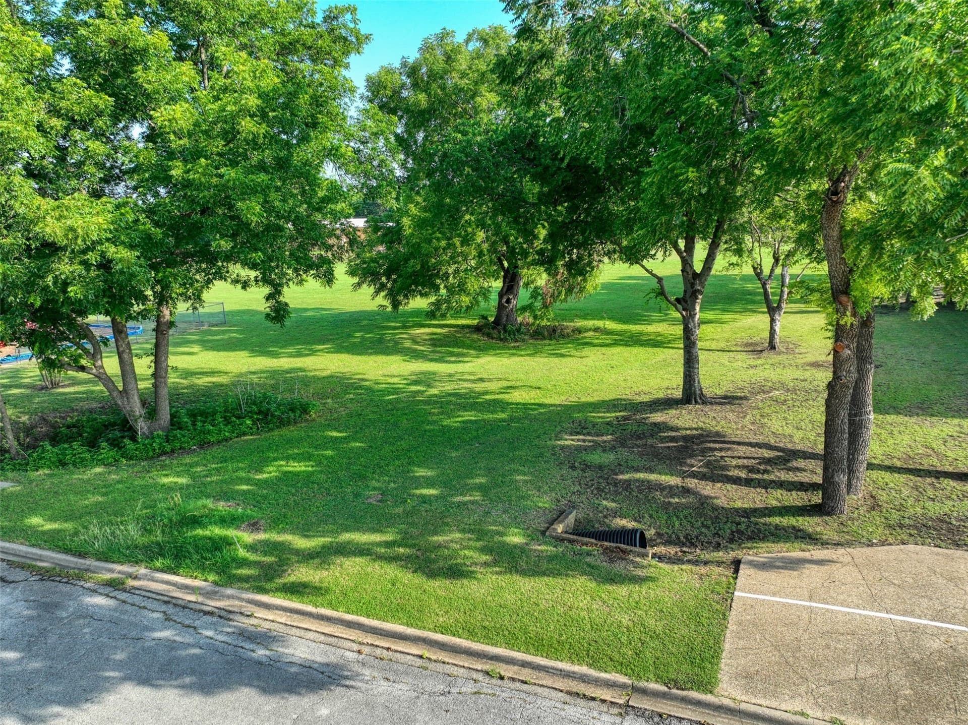 0.29 acres in Dallas County - photo 8