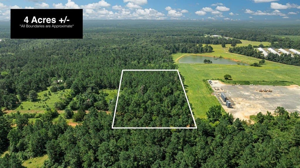 4 acres in Texas County gallery image 2