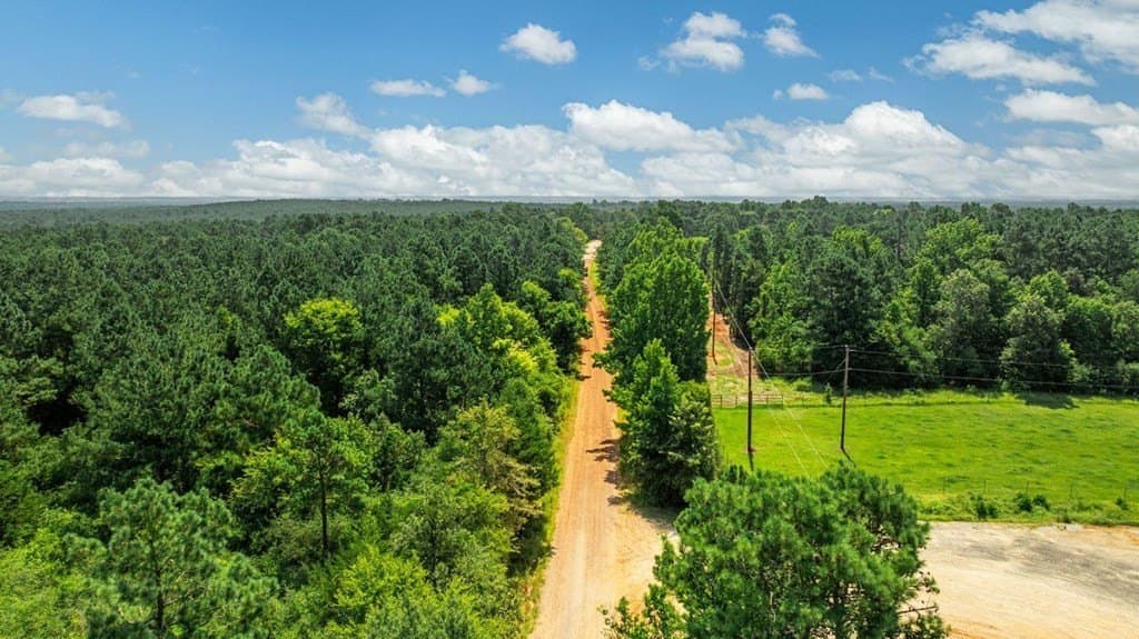 4 acres in Texas County gallery image 3