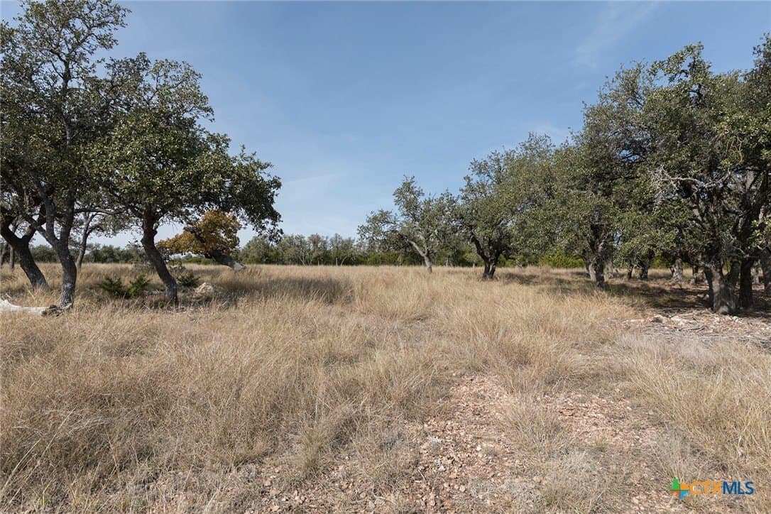 6 acres in Kerr County gallery image 3