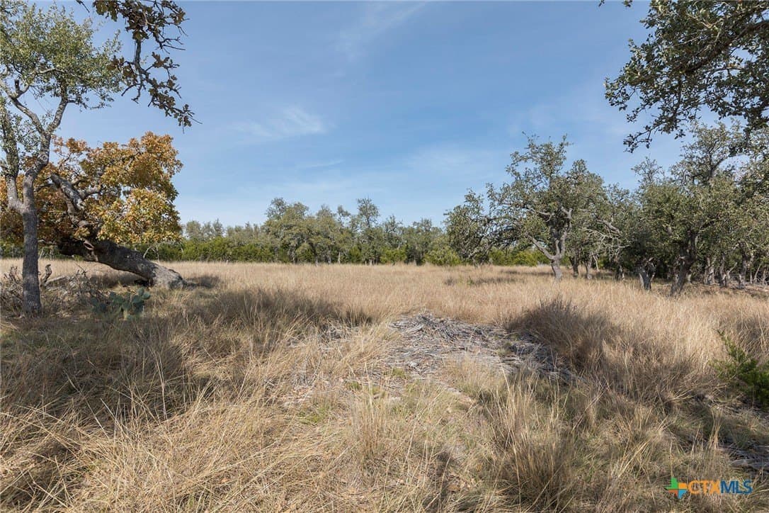 6 acres in Kerr County gallery image 4