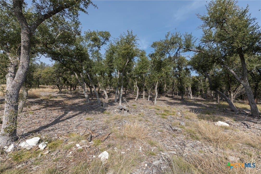 6 acres in Kerr County - photo 7