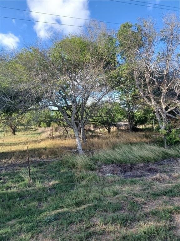 16 acres in San Patricio County