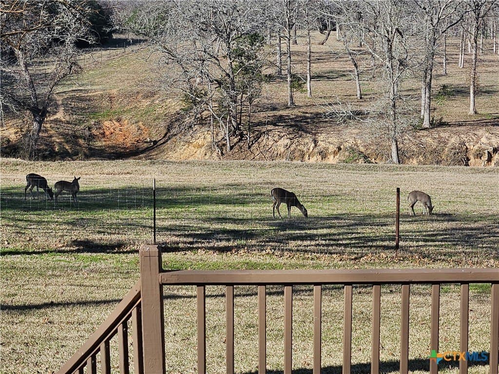 25 acres in Milam County - photo 21