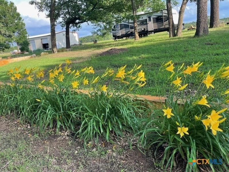 25 acres in Milam County - photo 35
