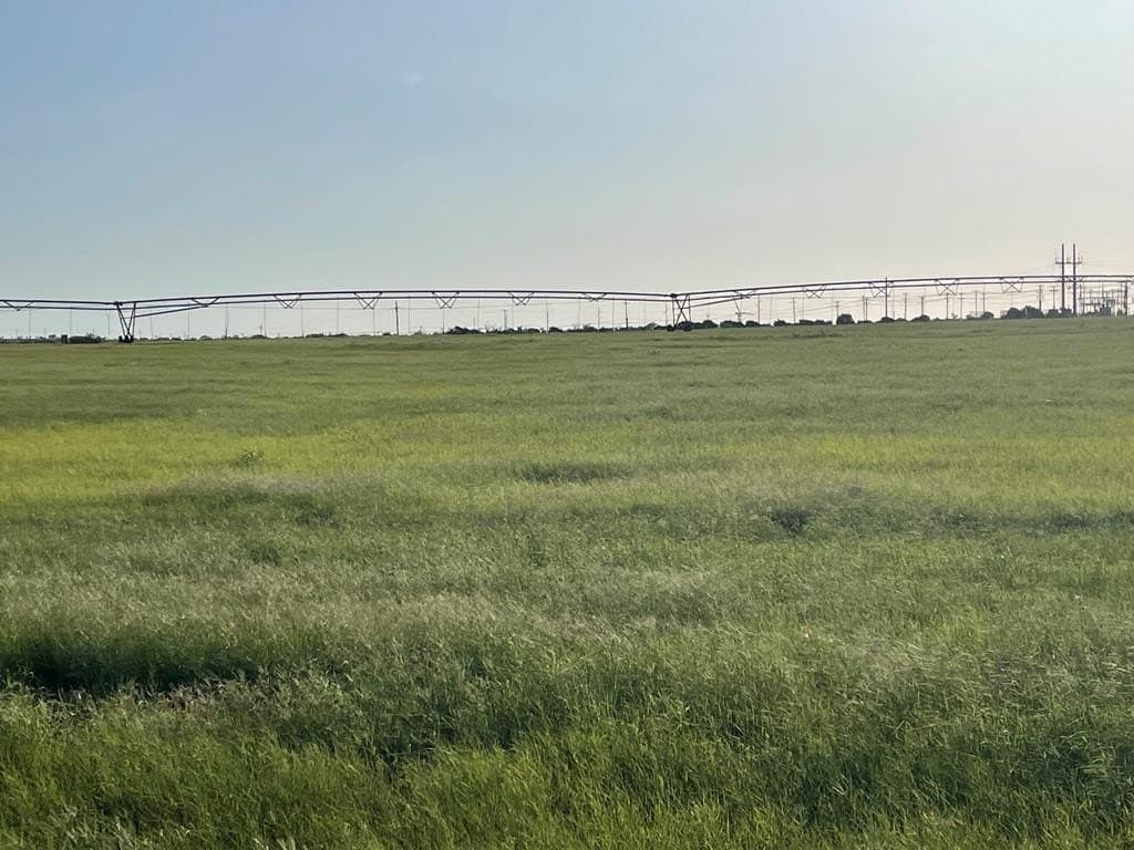 100 acres in Scurry County