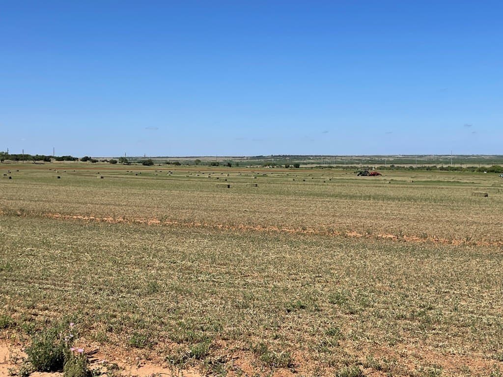 100 acres in Scurry County gallery image 4