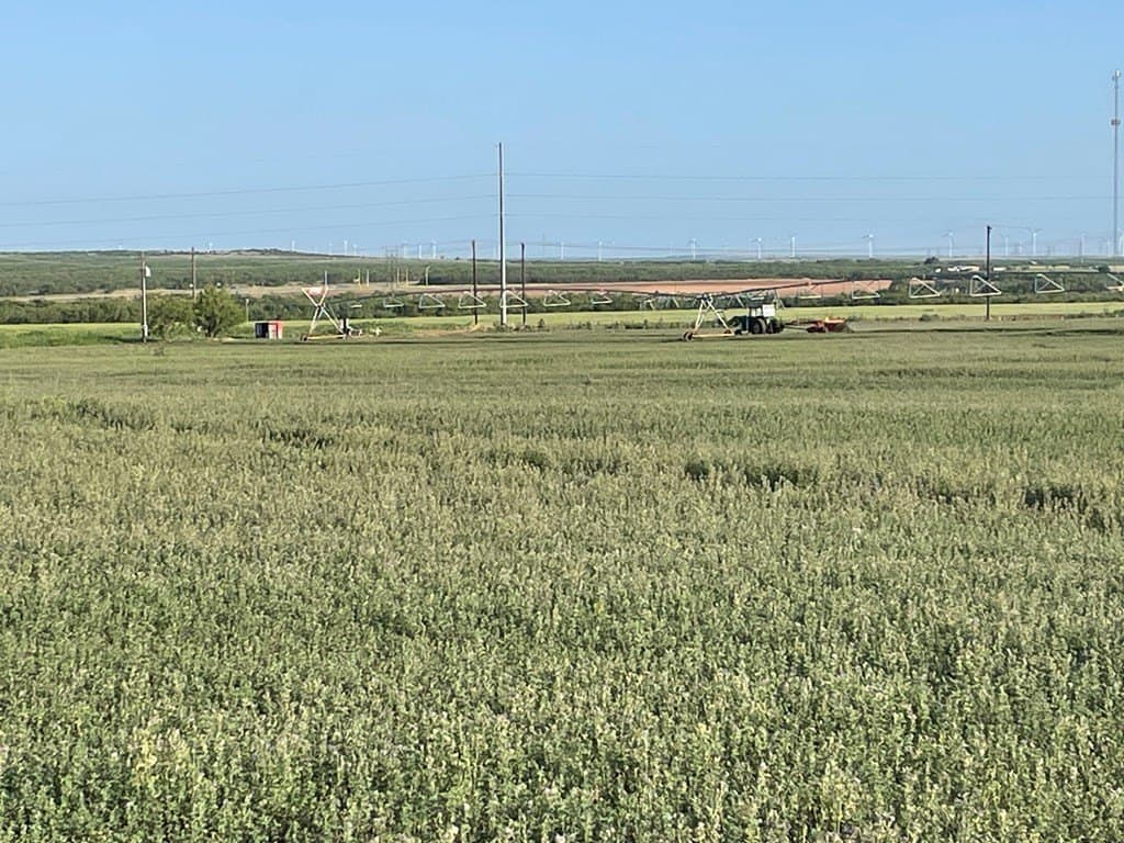 100 acres in Scurry County gallery image 3