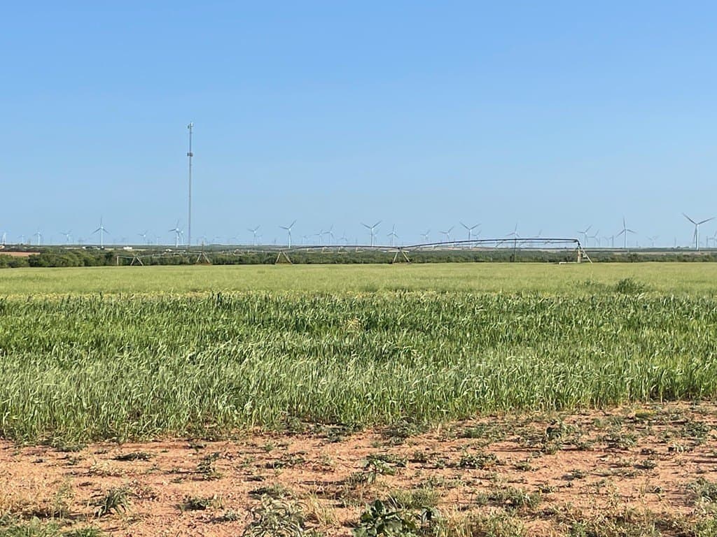 100 acres in Scurry County gallery image 2