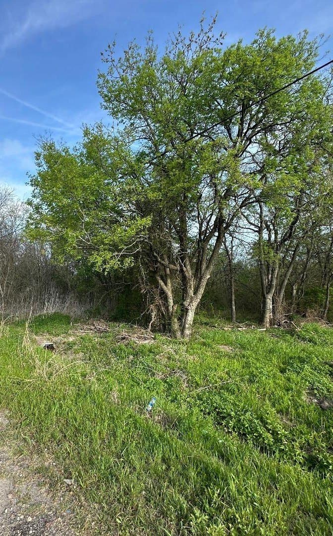 0.25 acres in Fannin County featured view