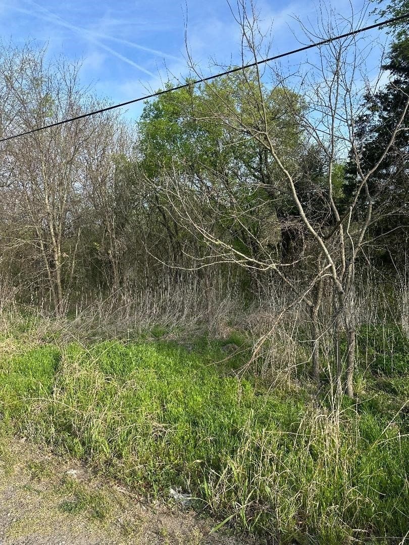 0.25 acres in Fannin County - photo 11