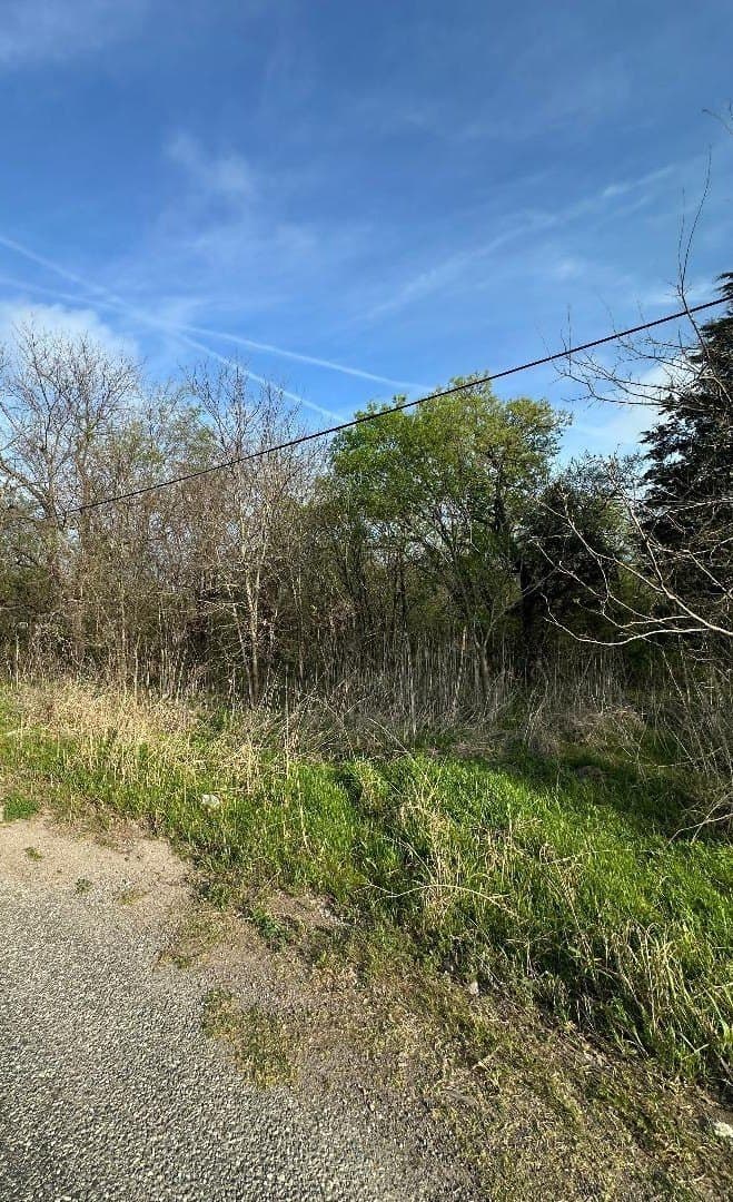 0.25 acres in Fannin County - photo 6