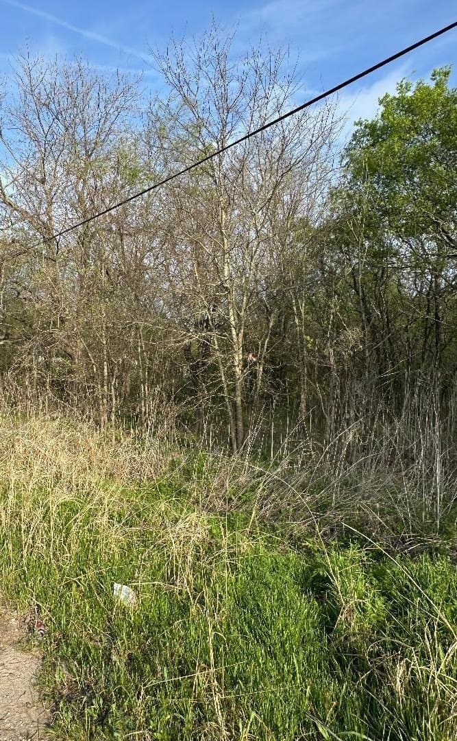 0.25 acres in Fannin County - photo 8