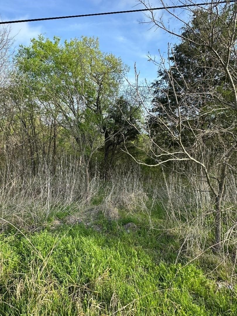 0.25 acres in Fannin County - photo 9