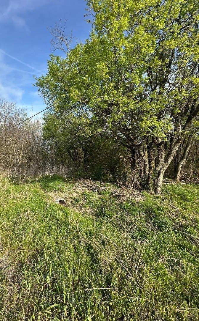 0.25 acres in Fannin County - photo 7