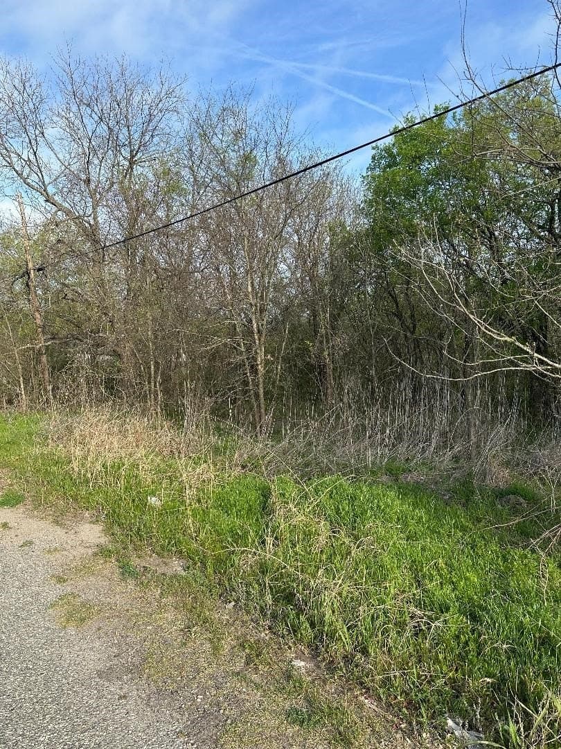 0.25 acres in Fannin County - photo 10