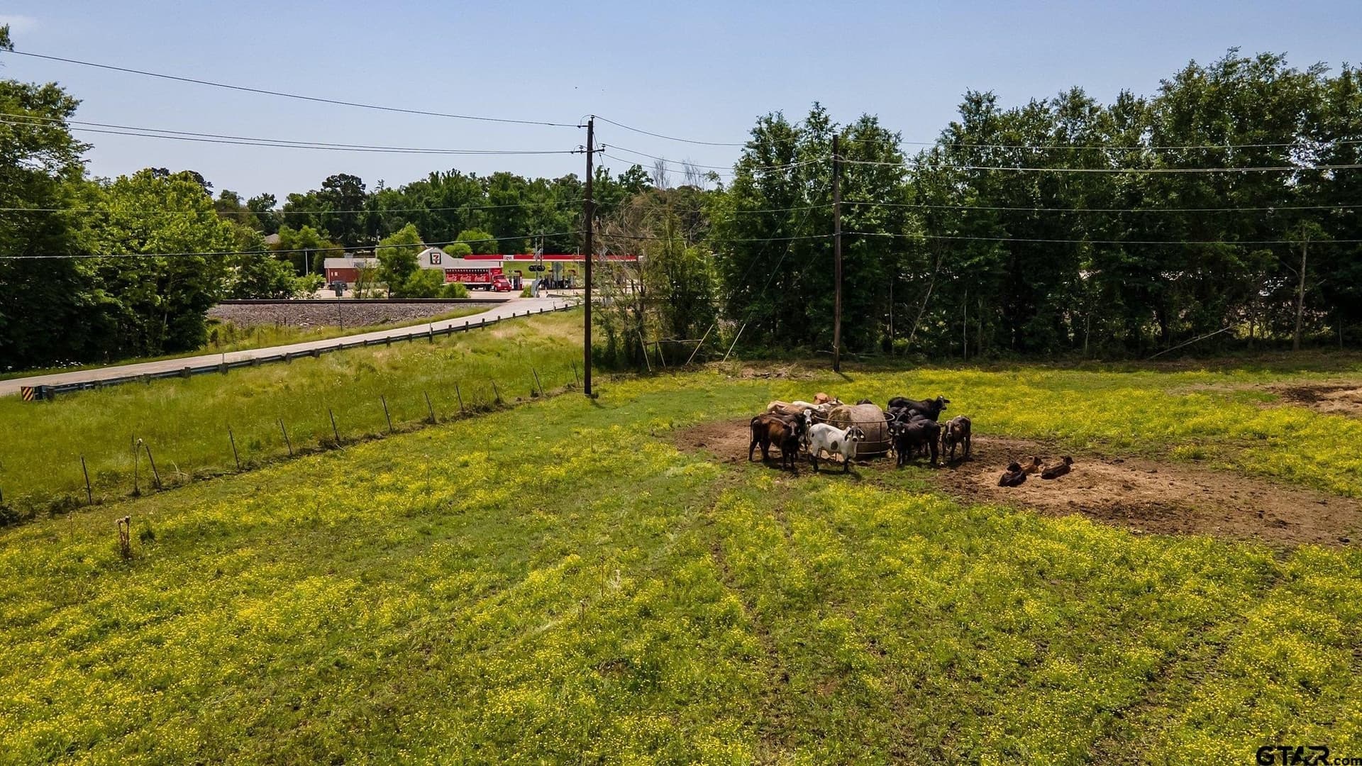 54.13 acres in Henderson County - photo 8