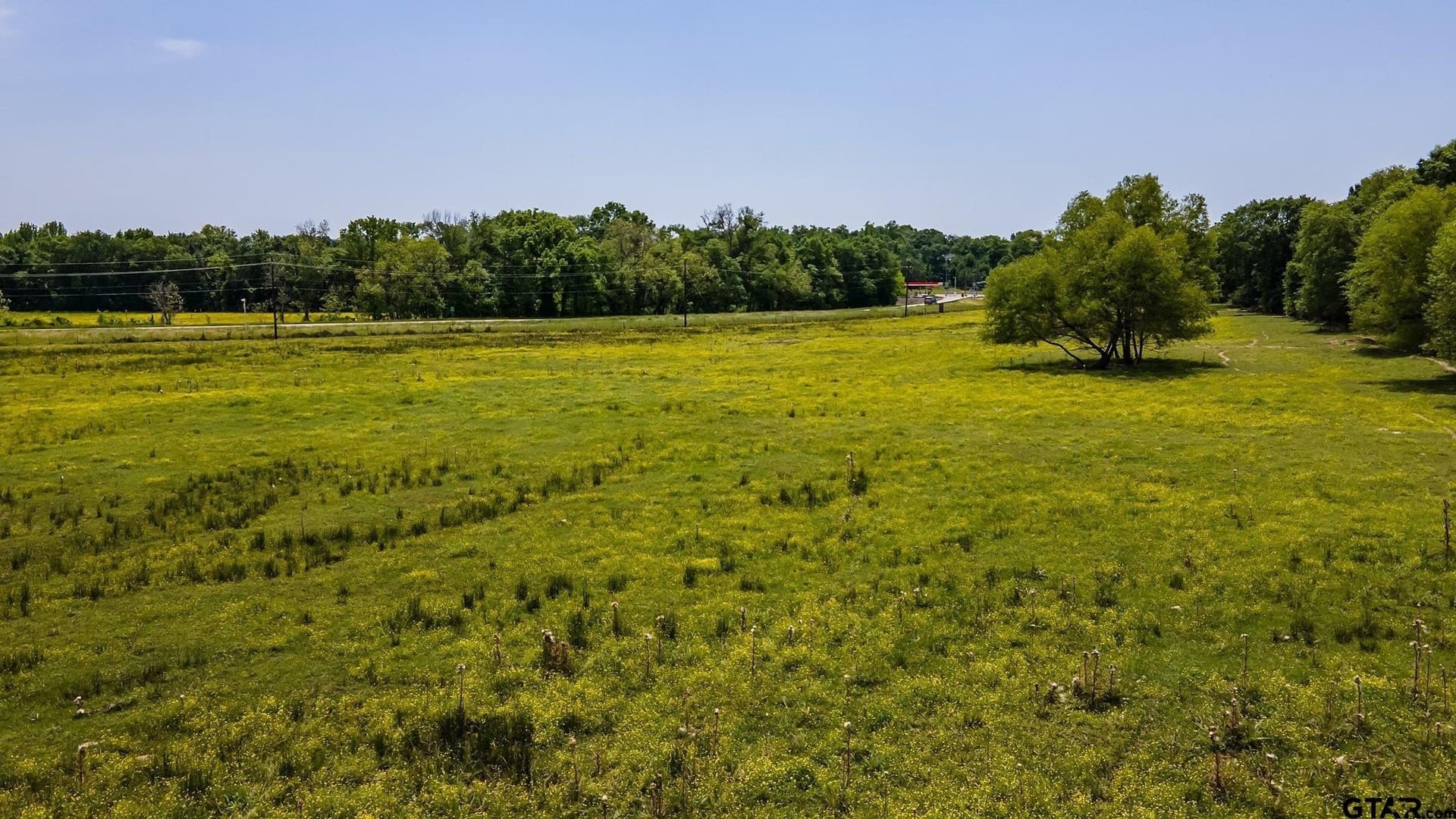 54.13 acres in Henderson County - photo 11