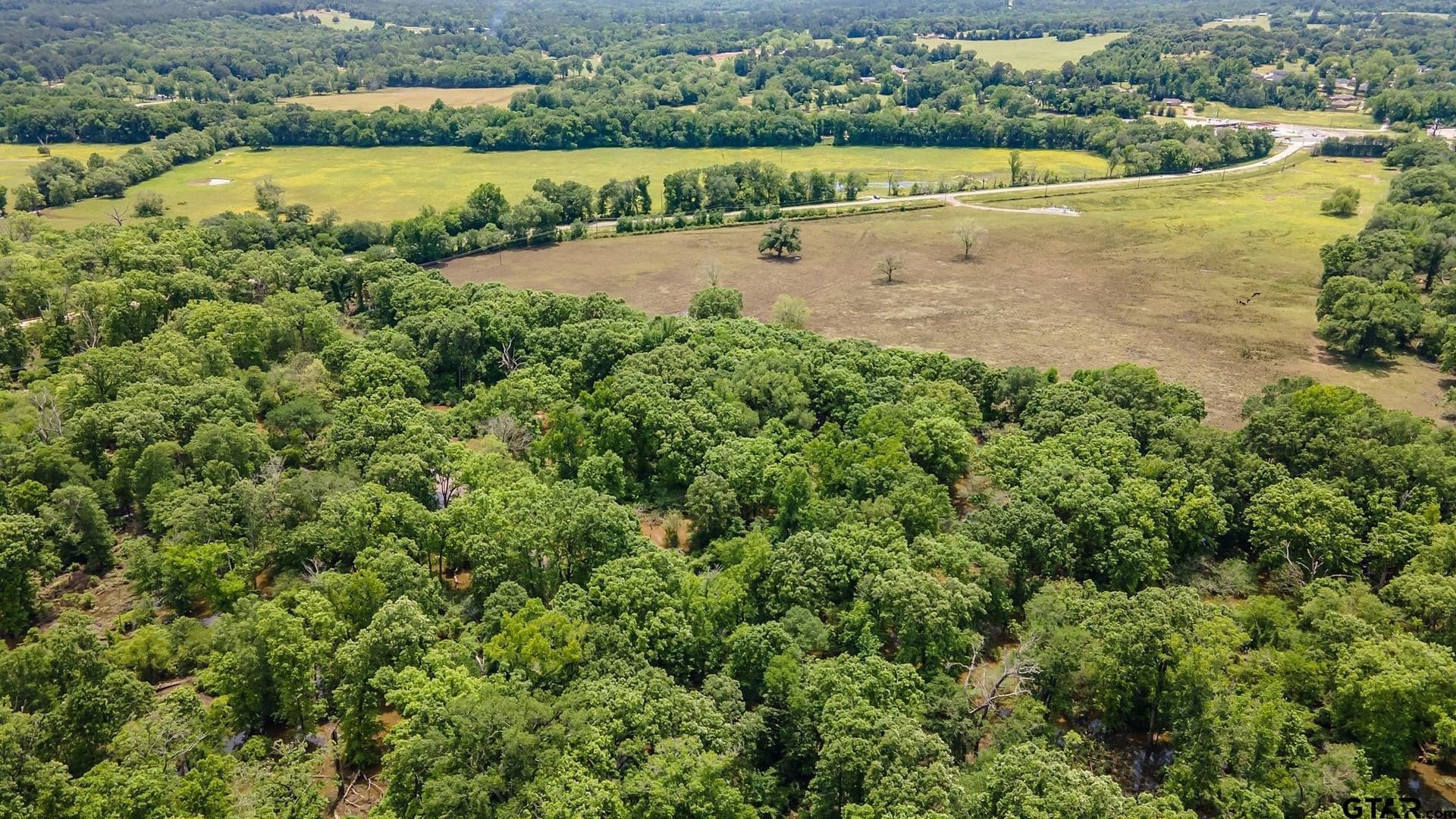 54.13 acres in Henderson County - photo 3