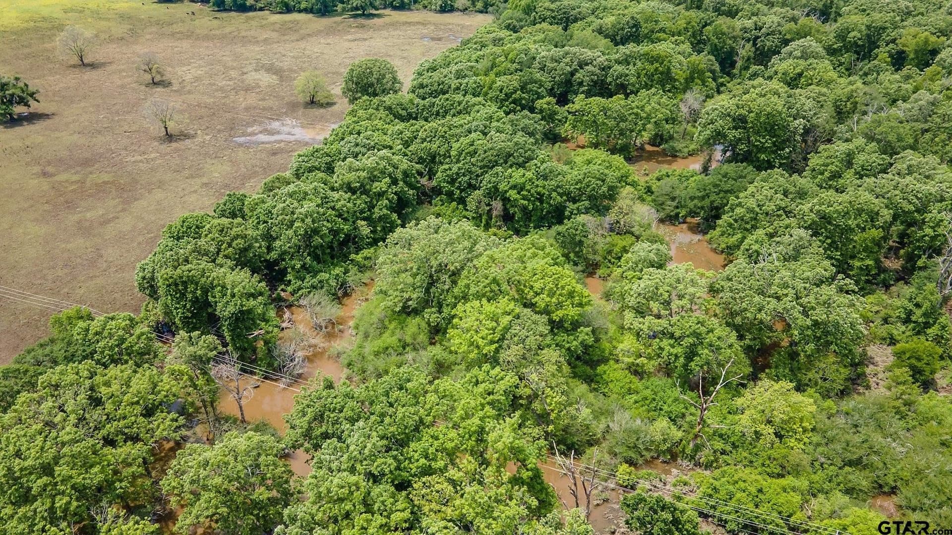 54.13 acres in Henderson County - photo 5