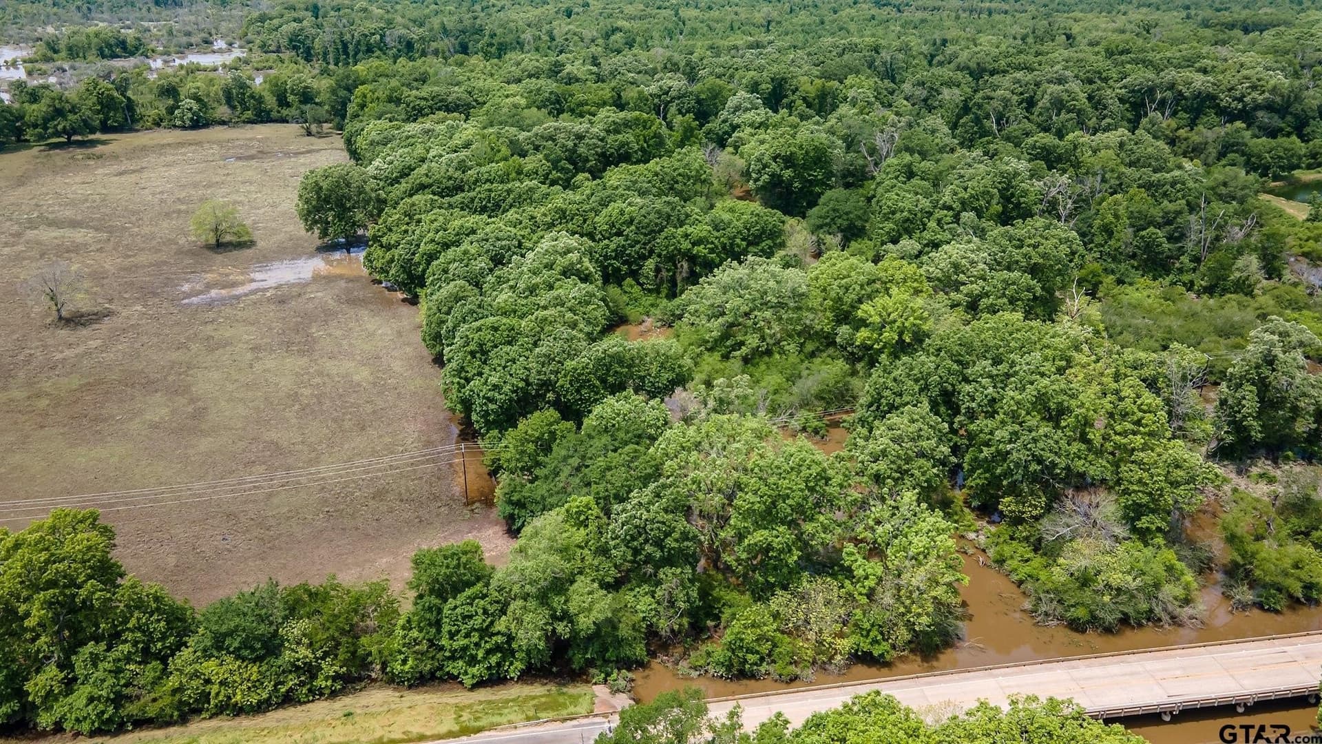 54.13 acres in Henderson County - photo 6