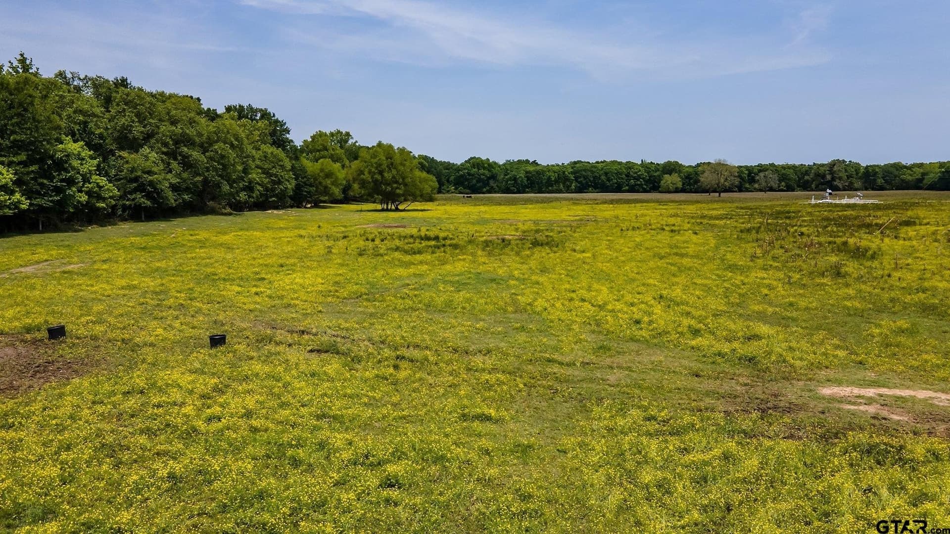 54.13 acres in Henderson County - photo 9