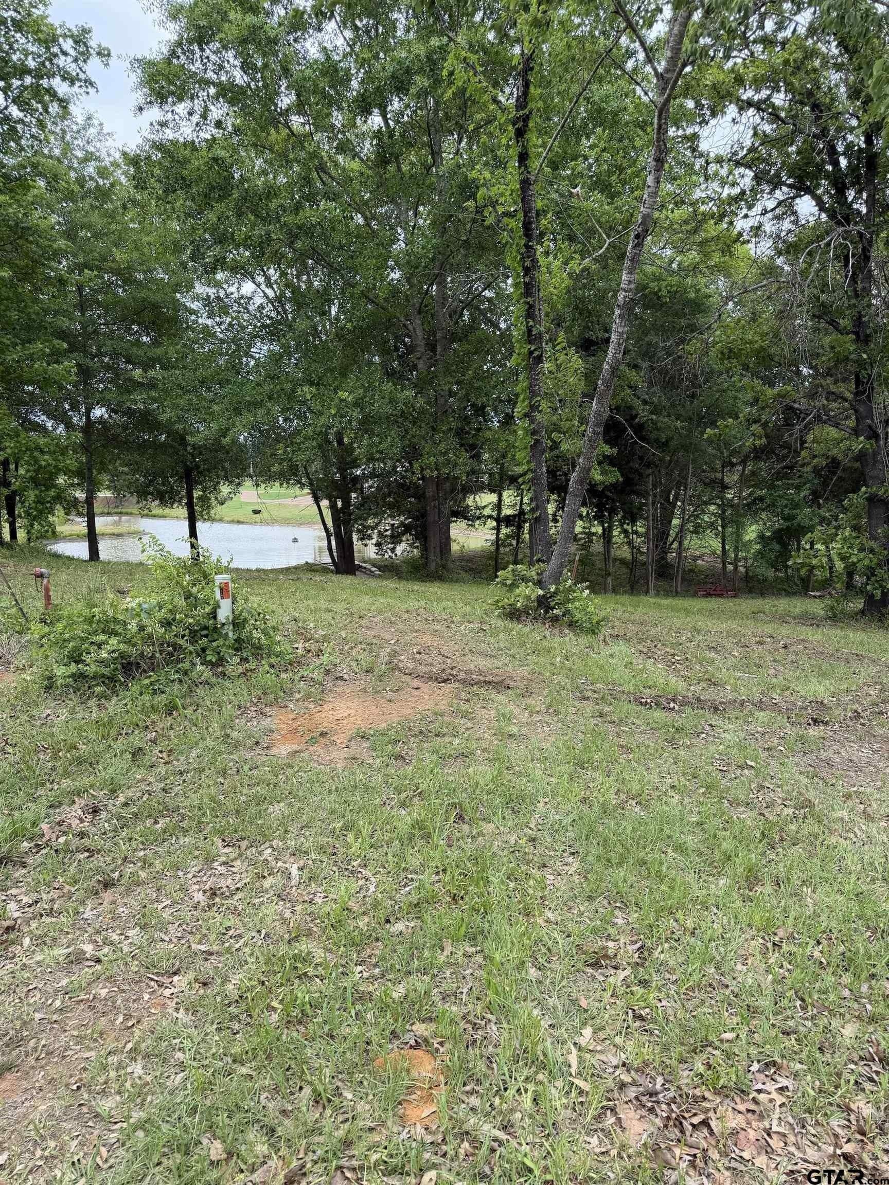 0.8 acres in Smith County gallery image 4
