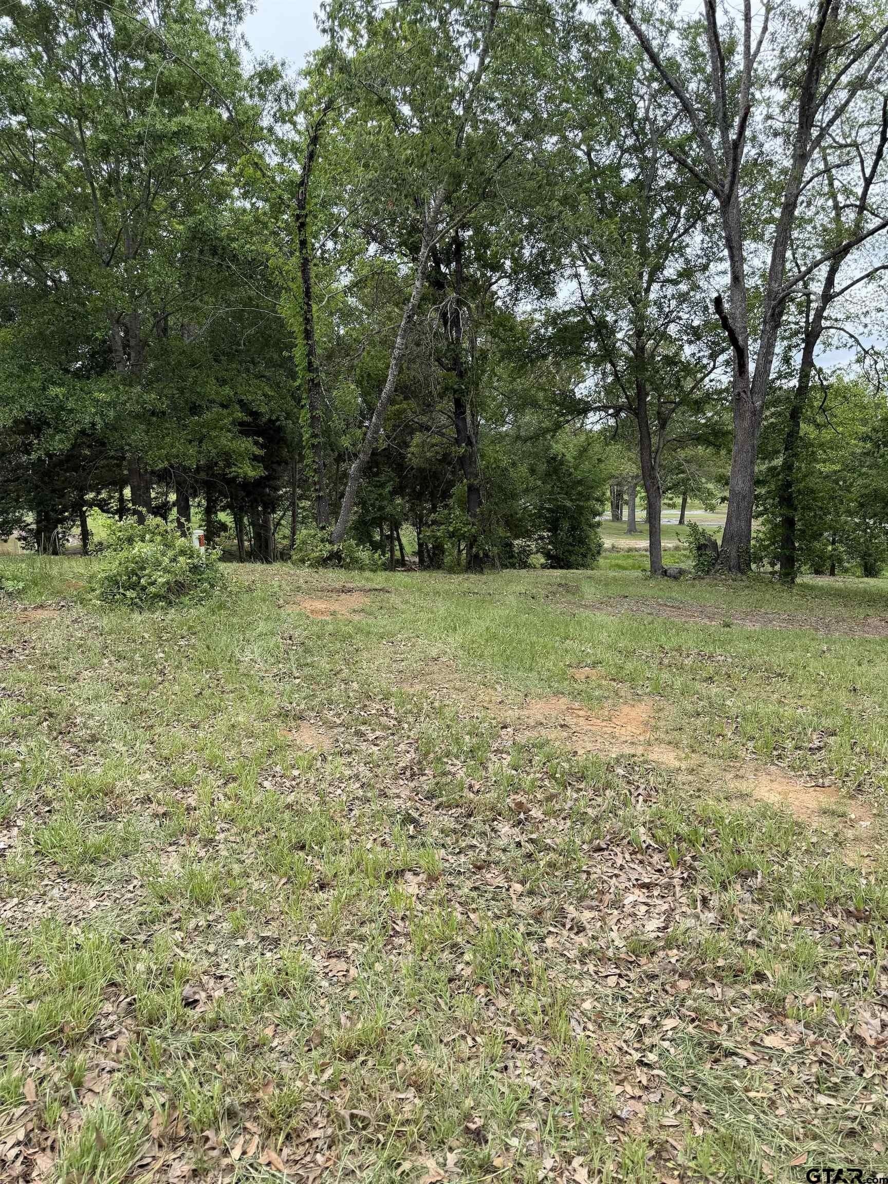 0.8 acres in Smith County gallery image 2