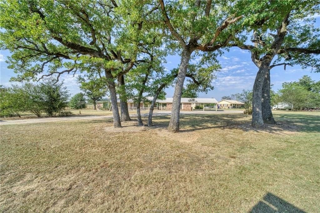 84.09 acres in Madison County gallery image 3