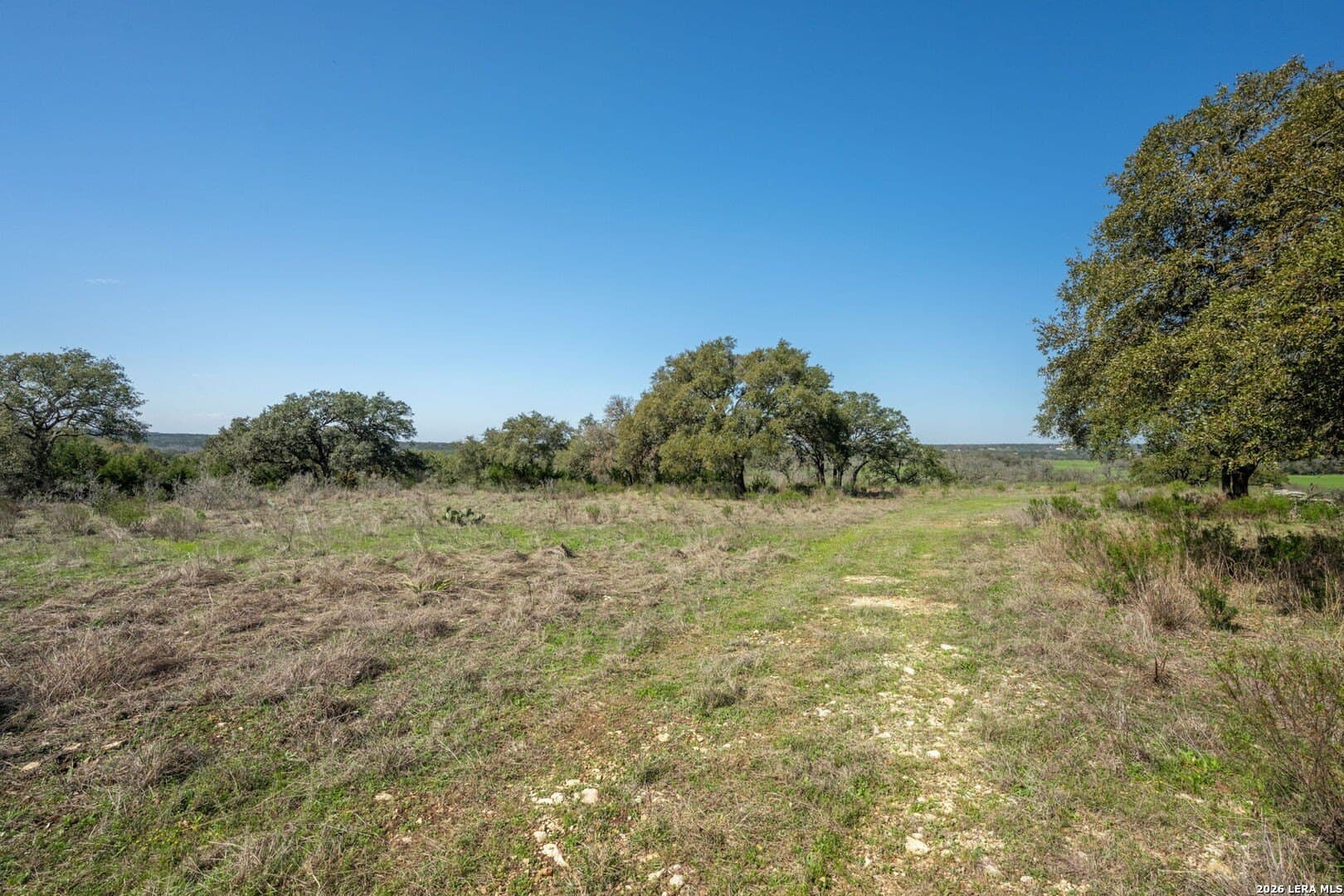 1.17 acres in Comal County - photo 12