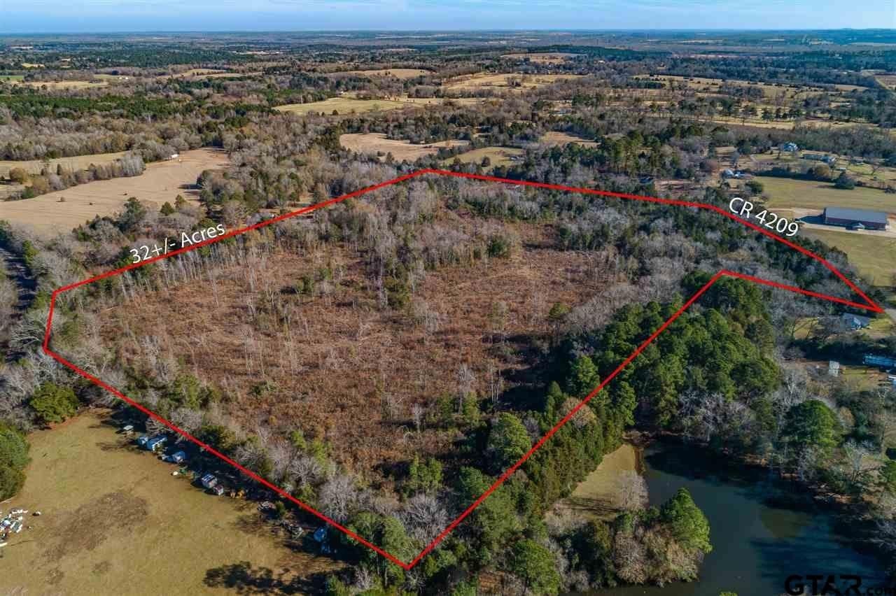 32.19 acres in Cherokee County gallery image 2