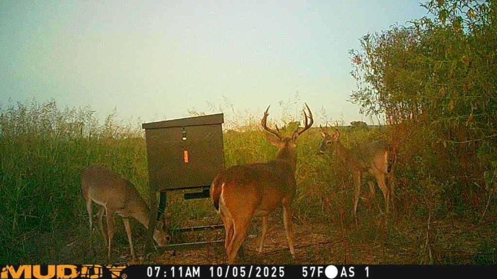 10 acres in Bosque County - photo 22