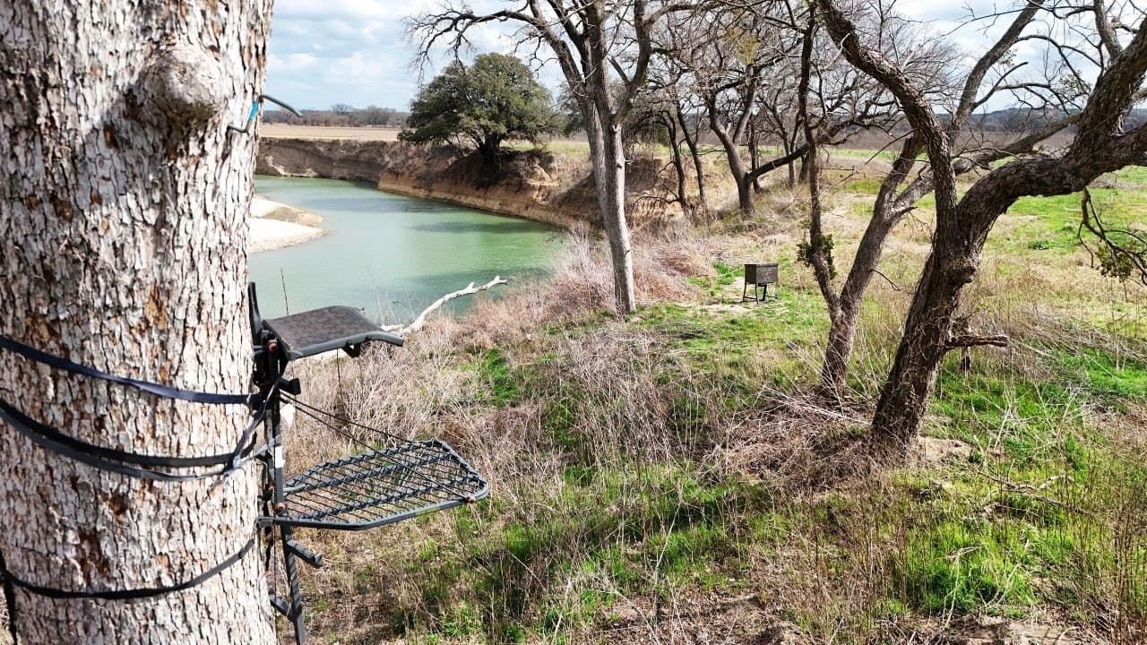 10 acres in Bosque County - photo 3