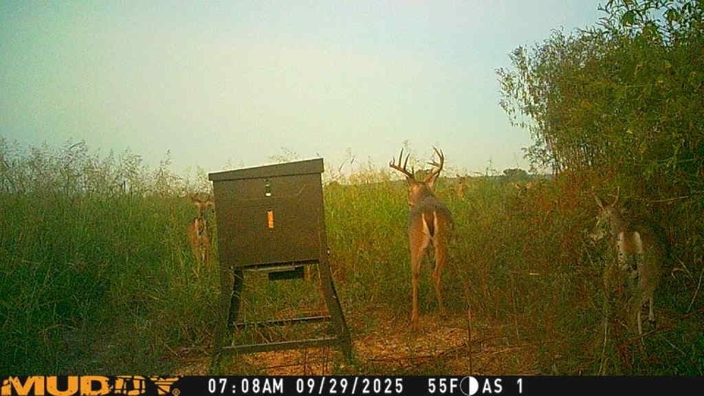 10 acres in Bosque County - photo 21