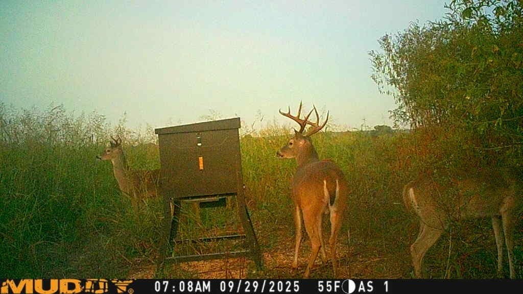10 acres in Bosque County - photo 20