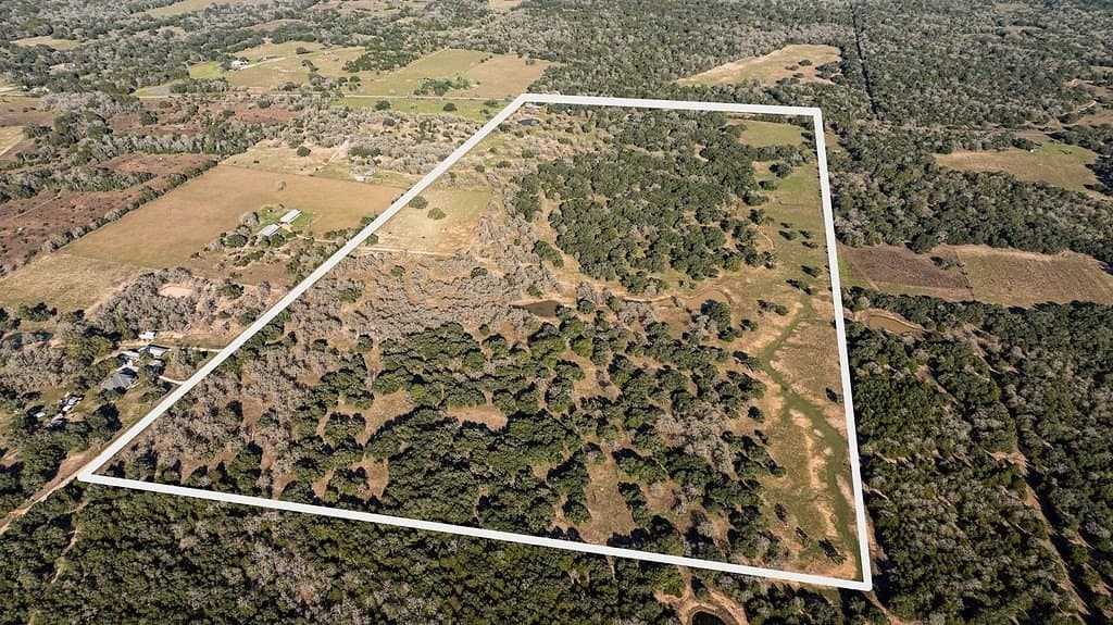 115.09 acres in Lavaca County gallery image 2