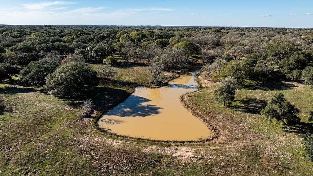 115.09 acres in Lavaca County gallery image 3