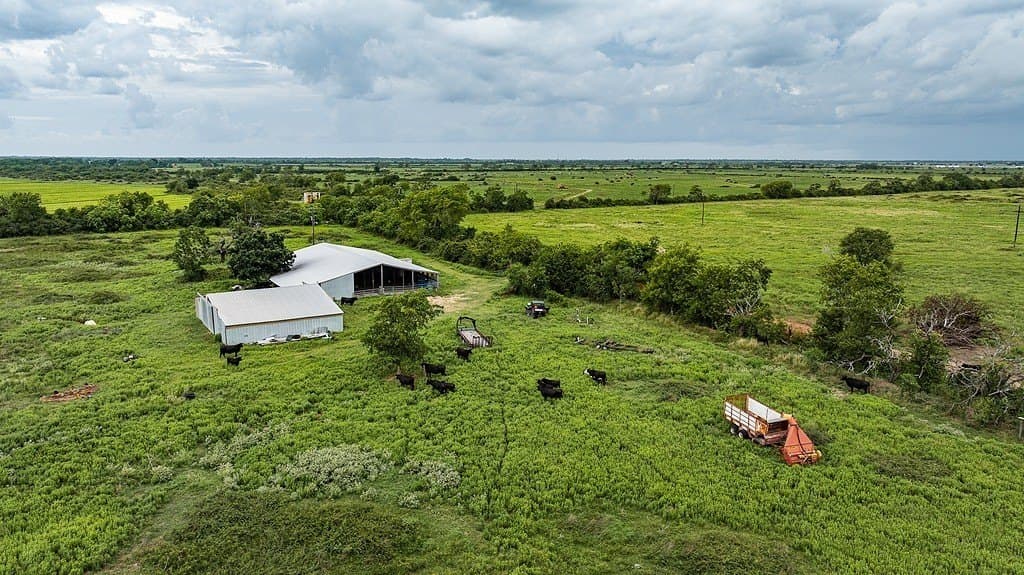 658.25 acres in Colorado County gallery image 4