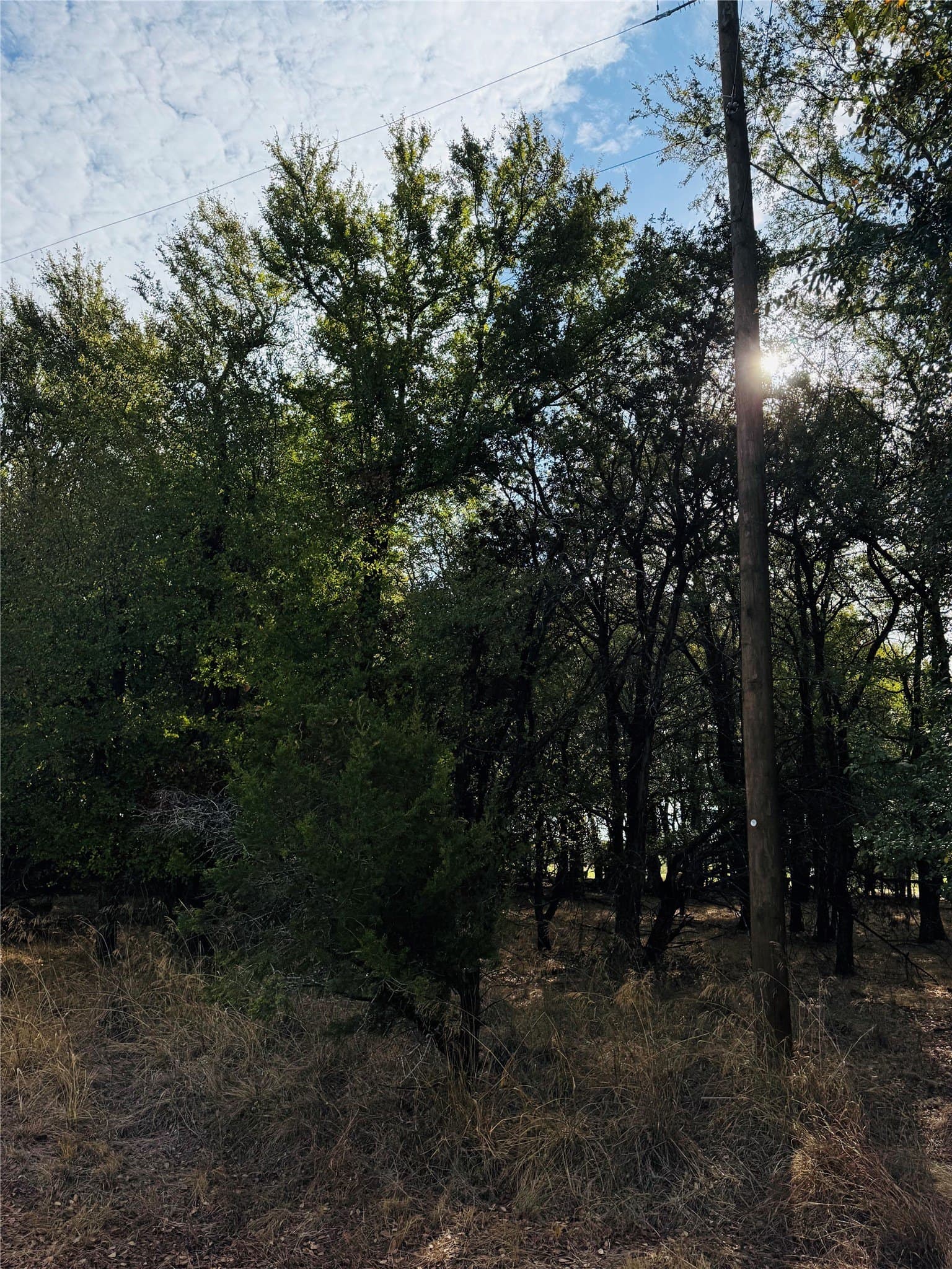 0.27 acres in Hill County - photo 7