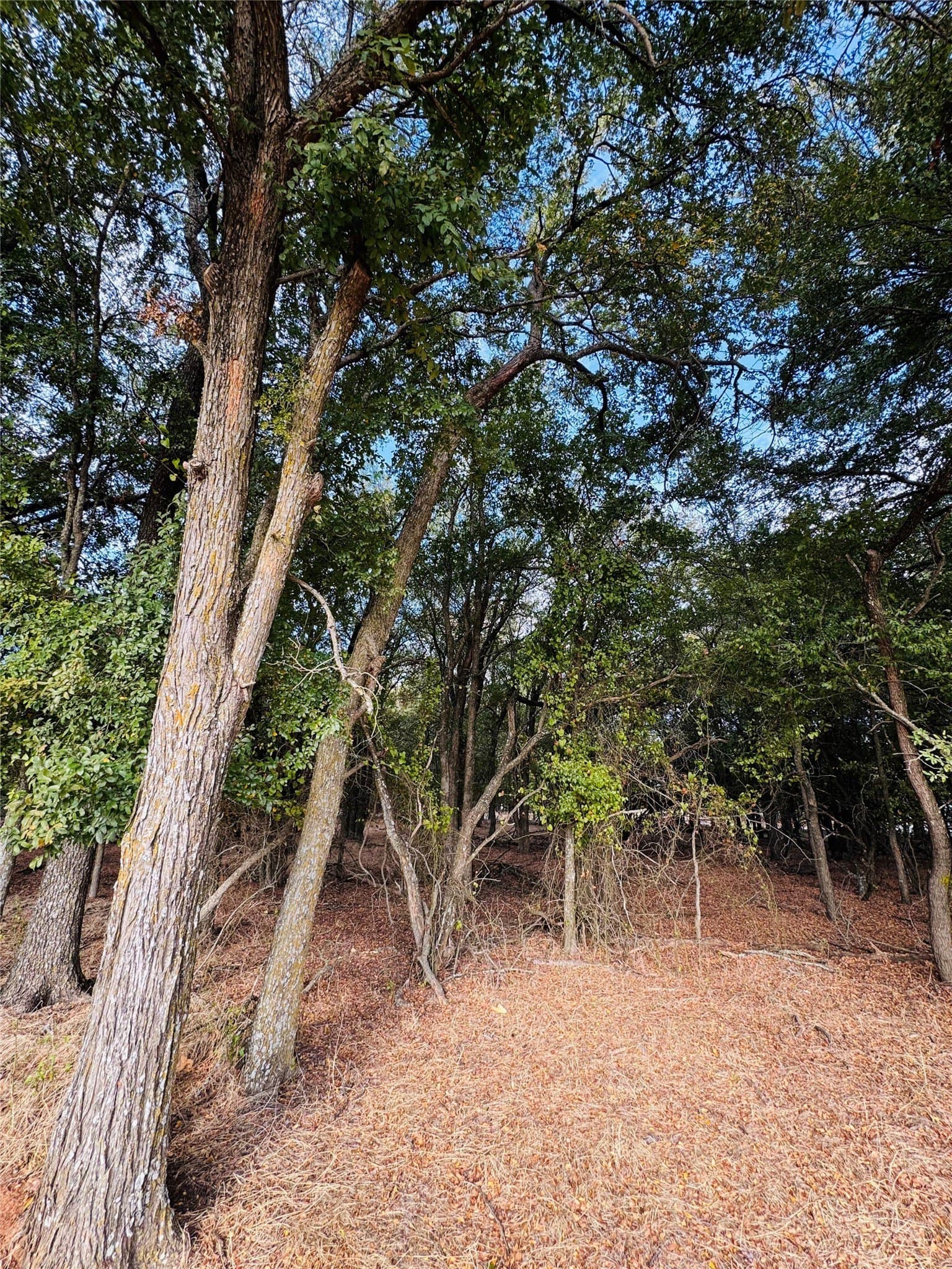 0.27 acres in Hill County - photo 3