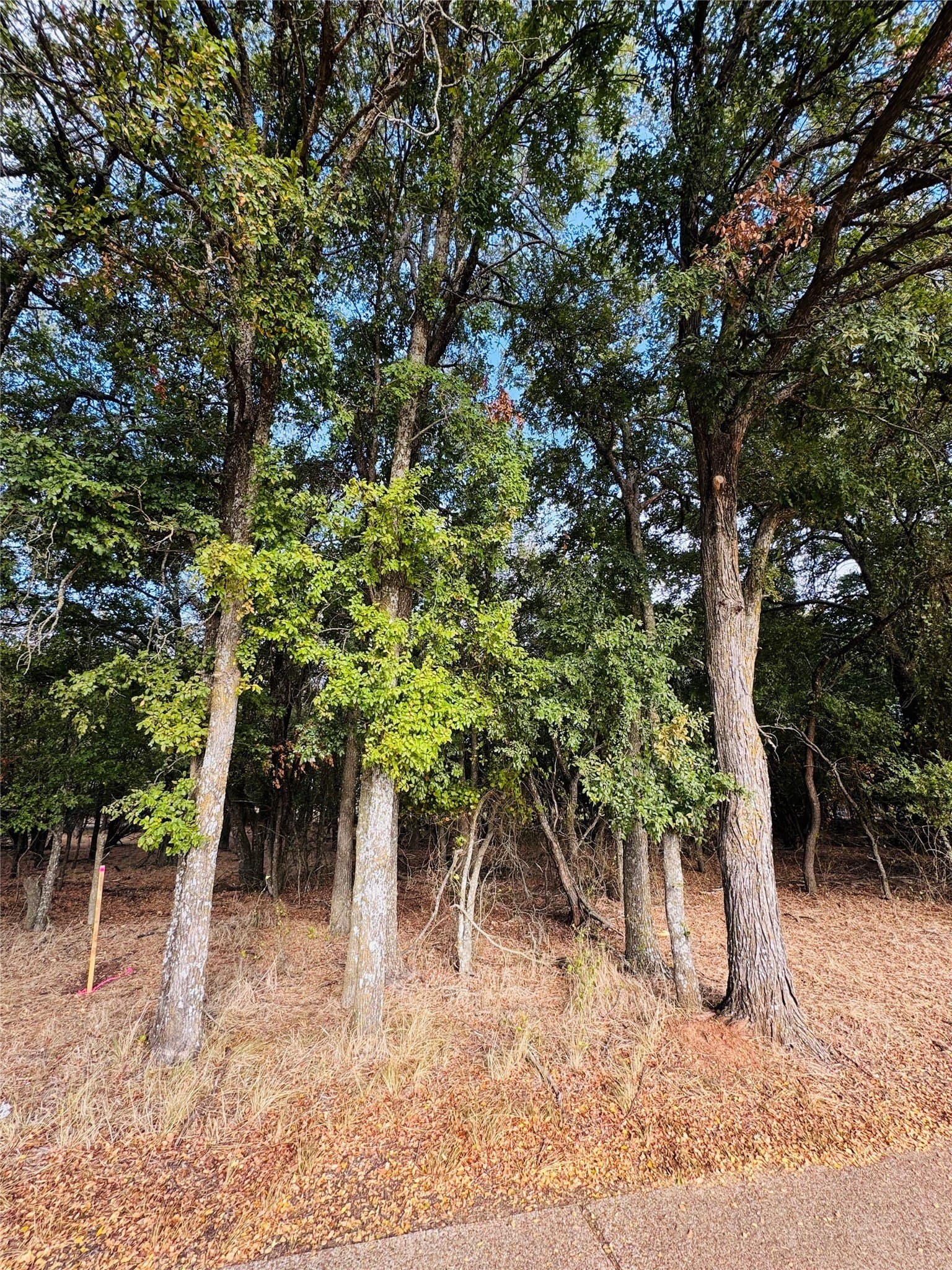 0.27 acres in Hill County - photo 2