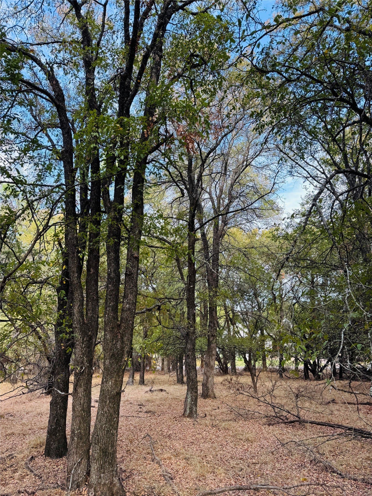 0.27 acres in Hill County
