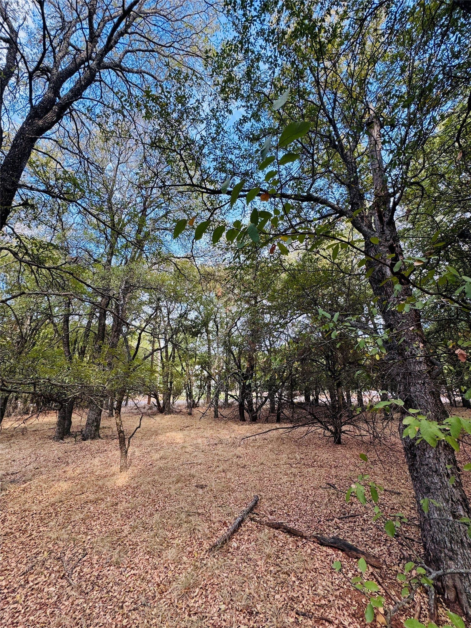 0.27 acres in Hill County - photo 4