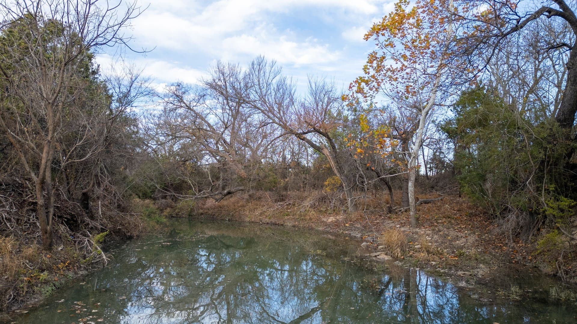 56.62 acres in Lampasas County - photo 15