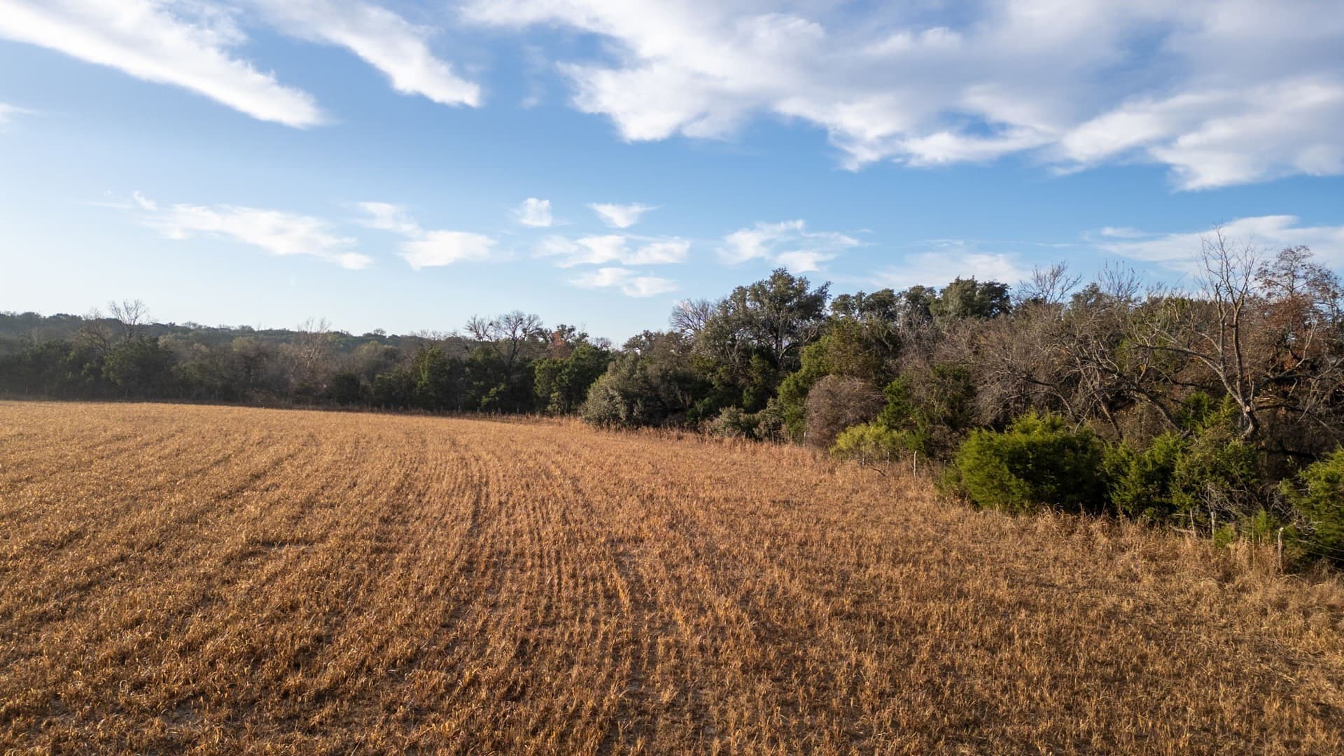 56.62 acres in Lampasas County - photo 13