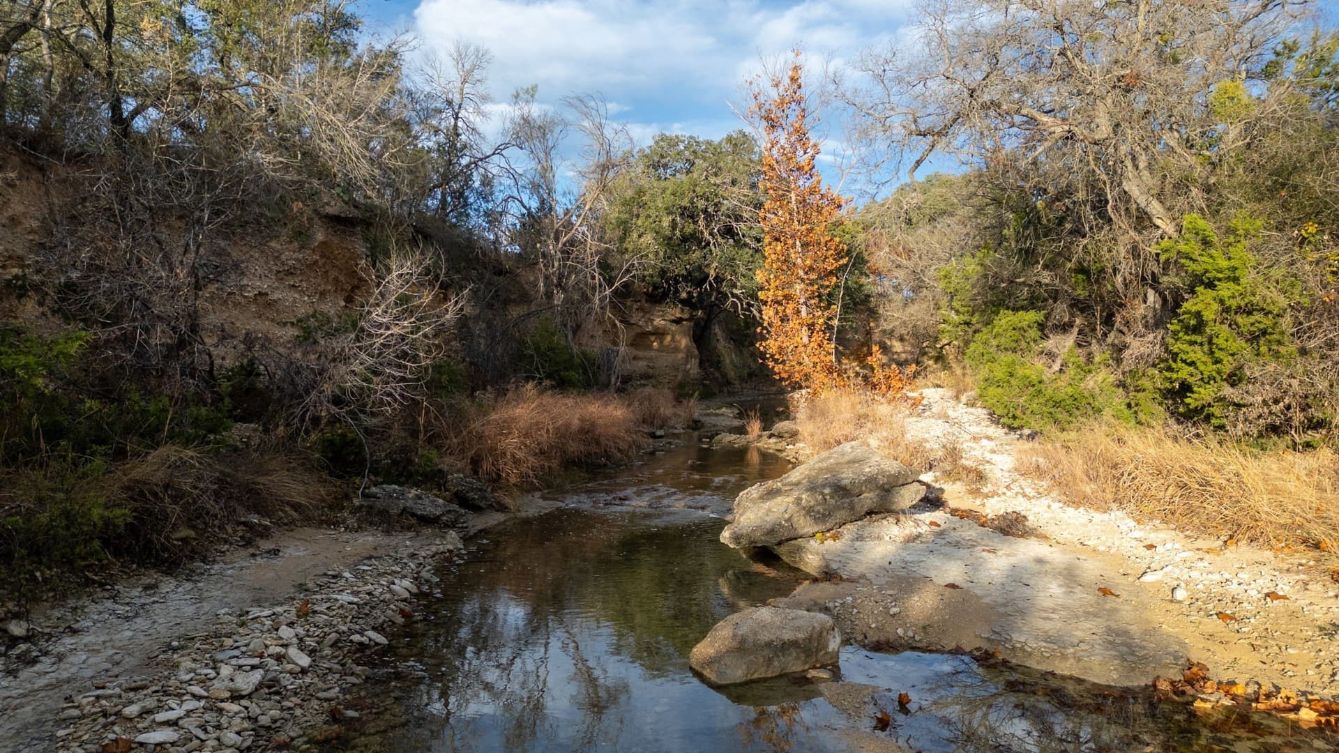 56.62 acres in Lampasas County - photo 2