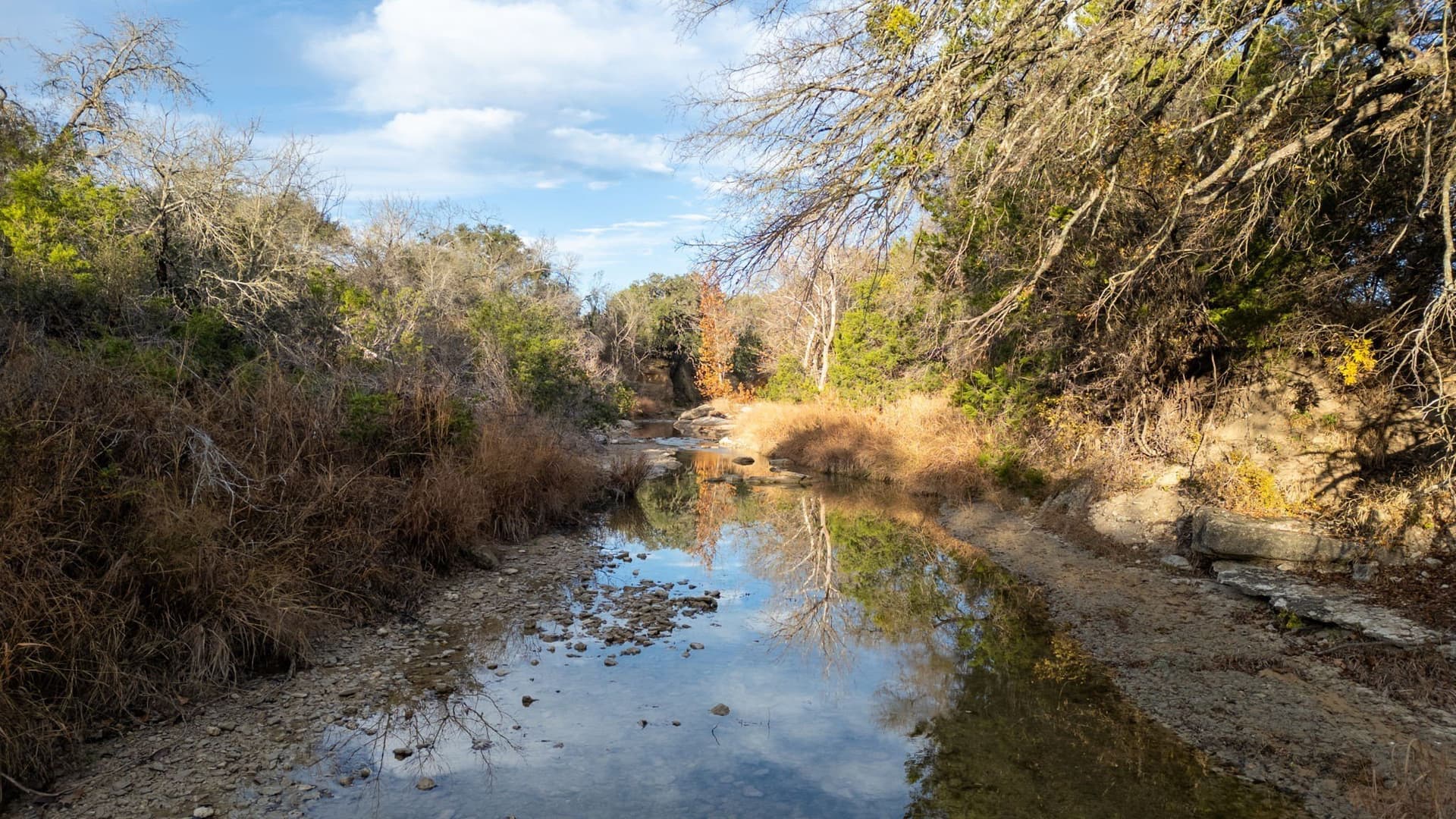 56.62 acres in Lampasas County - photo 6